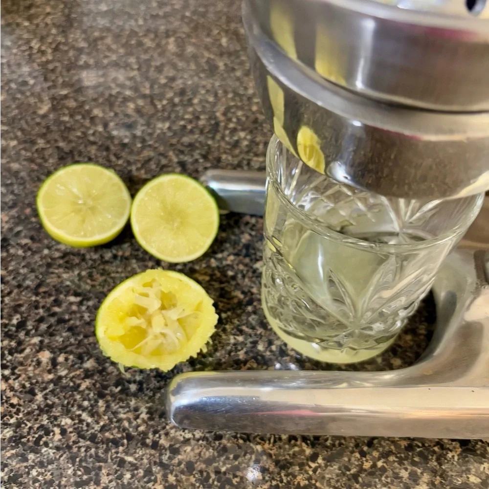 Verve Culture Artisan Gold Citrus Juicer Press